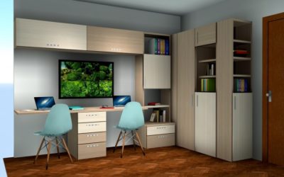 Presentamos los proyectos en 3D y en color